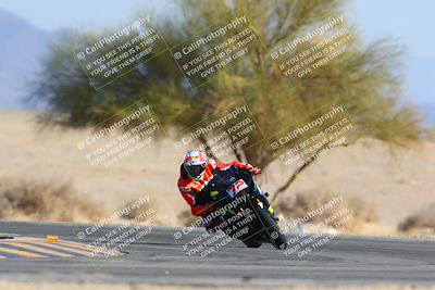 media/Jan-14-2024-SoCal Trackdays (Sun) [[2e55ec21a6]]/Turn 4 Tree of Life (155pm)/